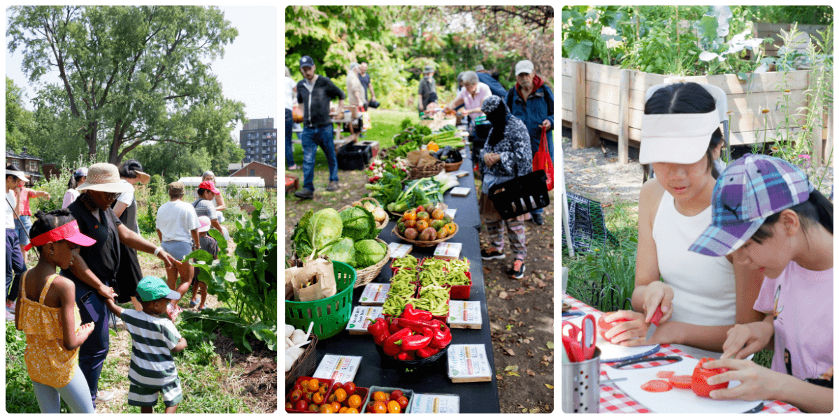 sharing abundance blog cover photo