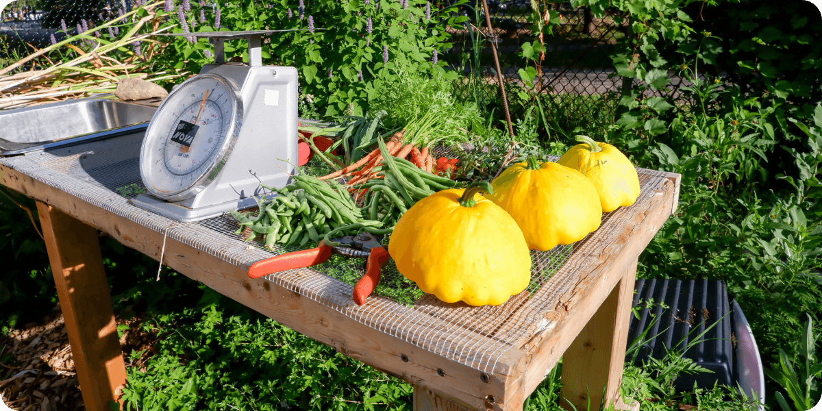 sharing abundance blog cover photo