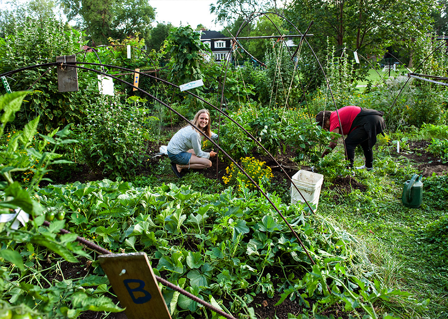 Collective gardening initiatives