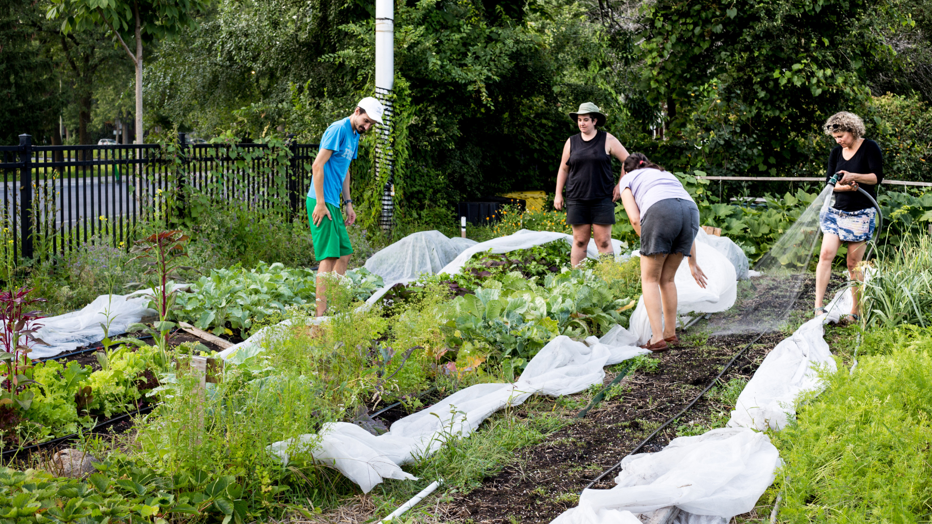 collective garden group