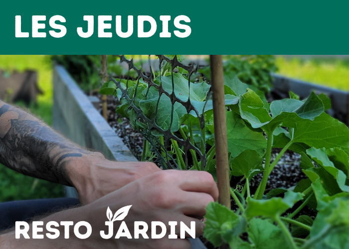 Jardin Resto - FR