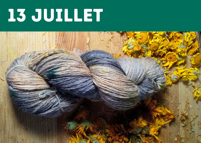 natural dye workshop (1)