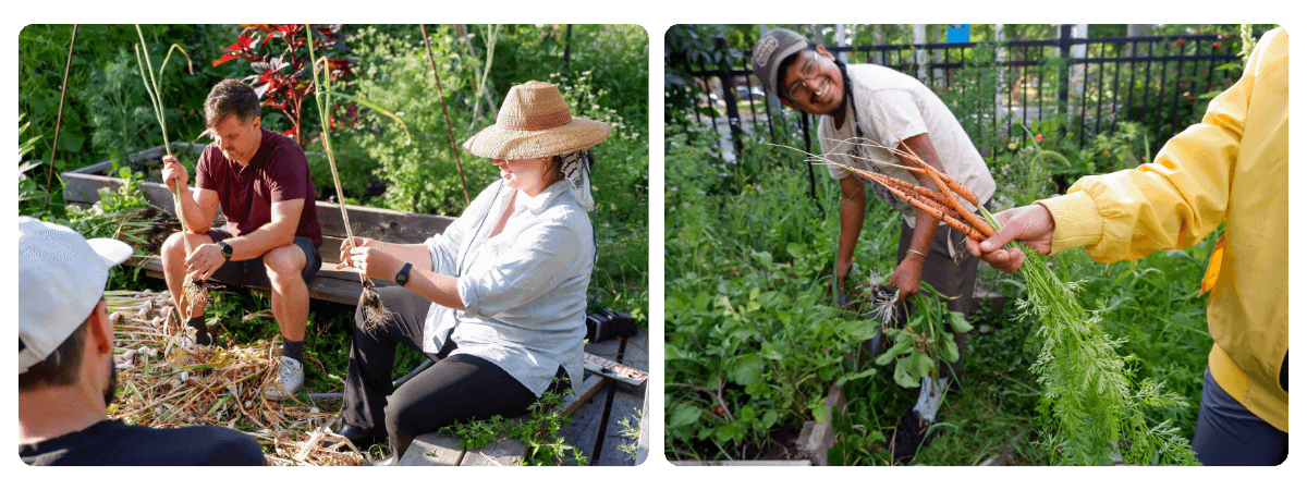garden socializing