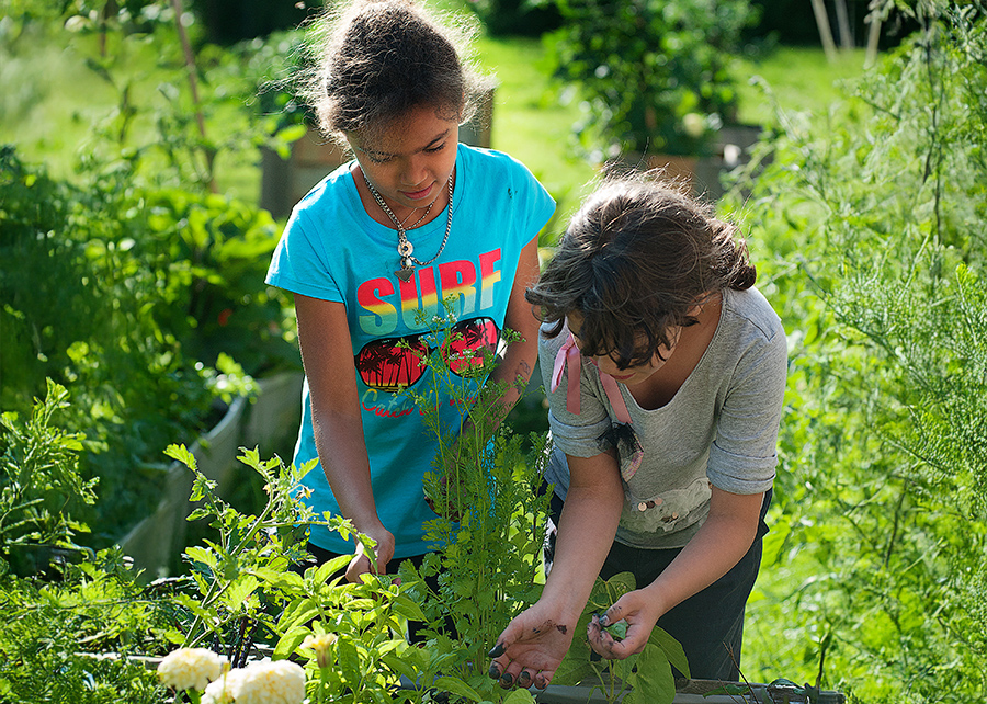 Gardening activities for the grow together program