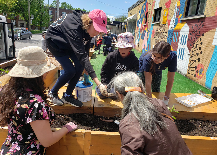 Urban agriculture and plant growing
