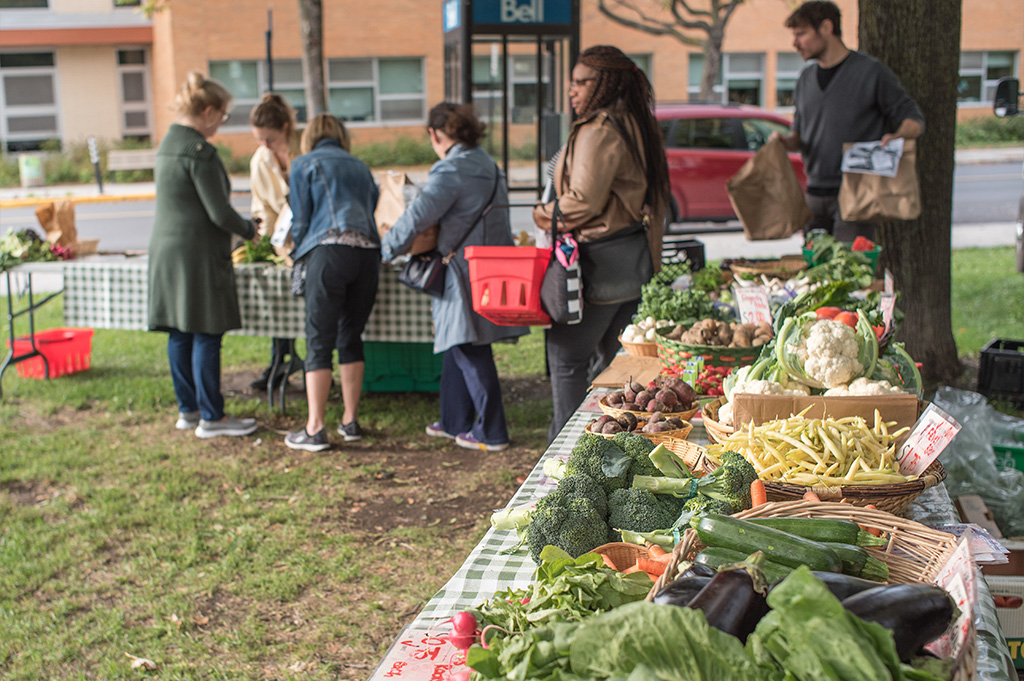 reimagine-food-access-2